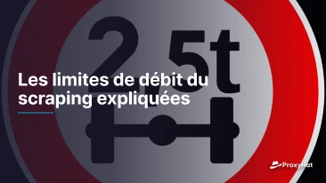 Les limites de débit du scraping expliquées