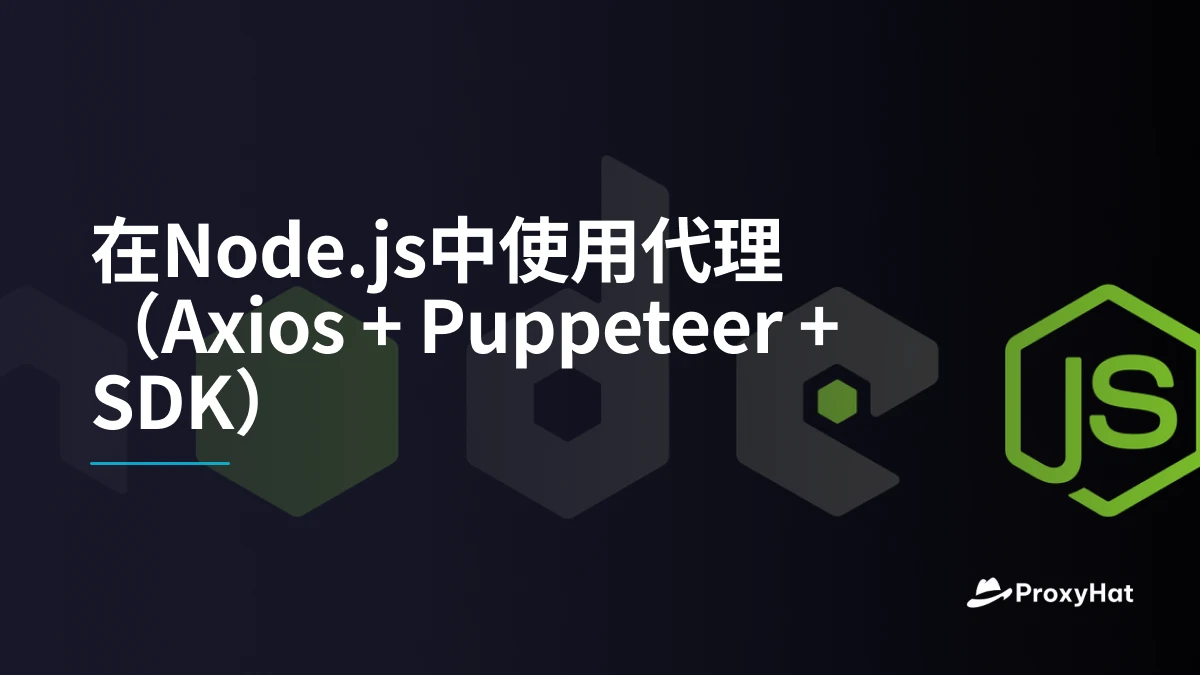 在Node.js中使用代理（Axios + Puppeteer + SDK）