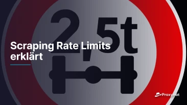 Scraping Rate Limits erklärt
