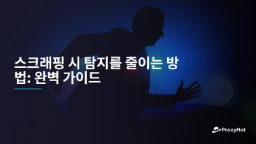 스크래핑 시 탐지를 줄이는 방법: 완벽 가이드