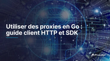 Utiliser des proxies en Go : guide client HTTP et SDK